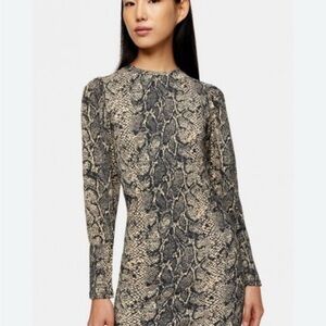 Topshop snakeskin Bodycon‎ dress